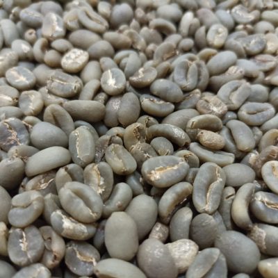 Arabica Mandailing G1 - FW