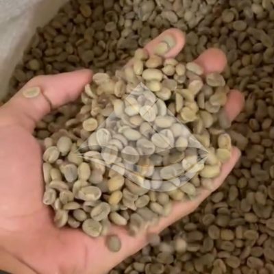 arabica fw ijen g1