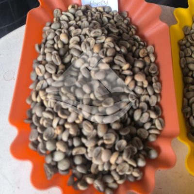 arabica hayo honey